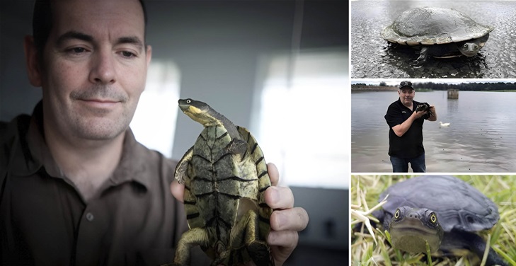Meet A Totally Awesome Turtle Expert Meet A Totally Awesome Turtle Expert