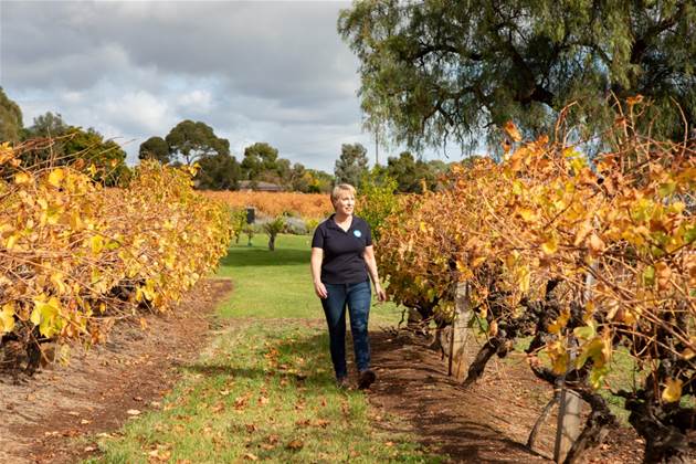 Agtech business The Yield uses AI to combat challenges facing framers