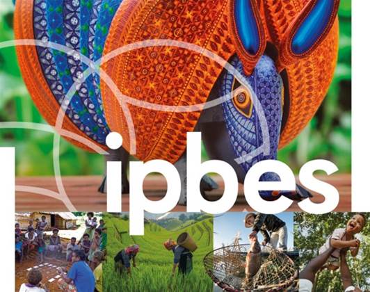 IPBES report finds global valuation of nature has short-term profit focus