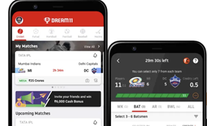 Fantasy sports site Dream11 using AI to personalise user experience