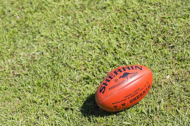 'Tiger Tokens' and 'Cats Coins': Is blockchain the future of AFL merch?