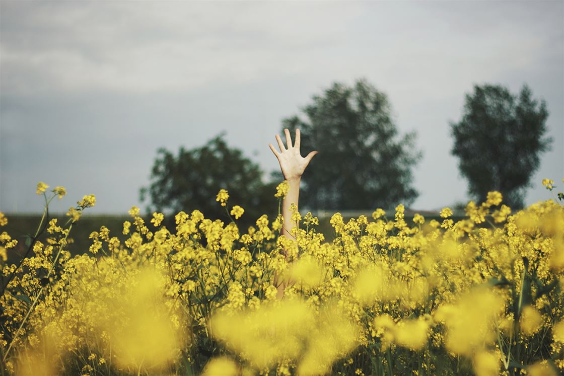 dear strictly business: how do I keep new customers? dear strictly business: how do I keep new customers?