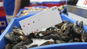 Sydney Fish Market lures consortium to test IoT