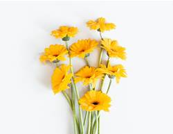 The incredible health benefits of giving to others