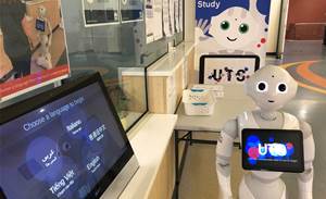 Sydney hospital trials multilingual wayfinding robot