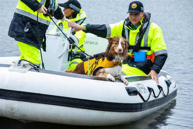 VRA NSW, LTE ve uydu ana taşıyıcısını ekleyerek radyo ağını güçlendiriyor