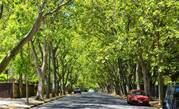 City of Unley IT overhaul paves way for digital 'urban forest'