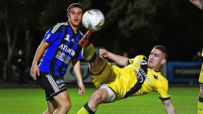 A-League dream alive for Wilkins A-League dream alive for Wilkins