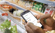 Woolworths looks to digital's impact on in-store sales