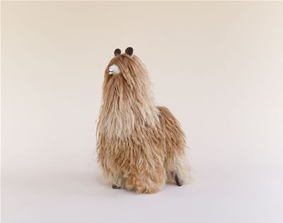 get a load of this cuddly alpaca