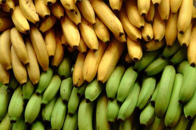 Sweeter Banana Co-op slips up on Sky Muster