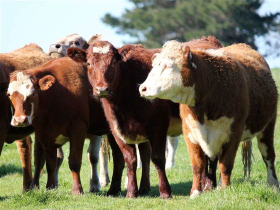 'Cyber attack' on meatpacker JBS Foods is ransomware