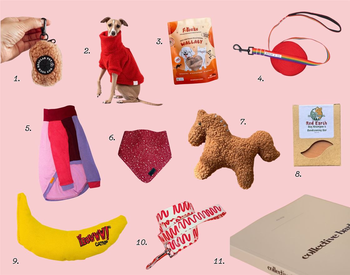 11 pieces for your pet (and you) 11 pieces for your pet (and you)