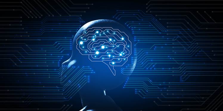 Computer powered by brain cells is possible: John Hopkins University