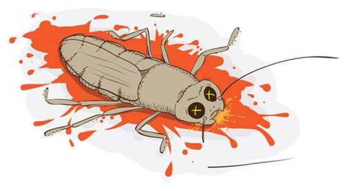 Palo Alto Networks warns of critical remote code execution bug