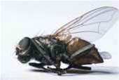 Buggy routers are all over the internet, say researchers