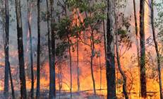 NSW National Parks and Wildlife Service heading to cloud for incident management