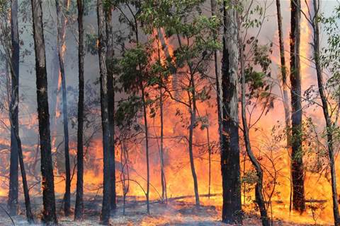 Telstra's new bushfire management system for NT govt goes live
