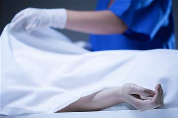 Virtual cadavers score federal funding