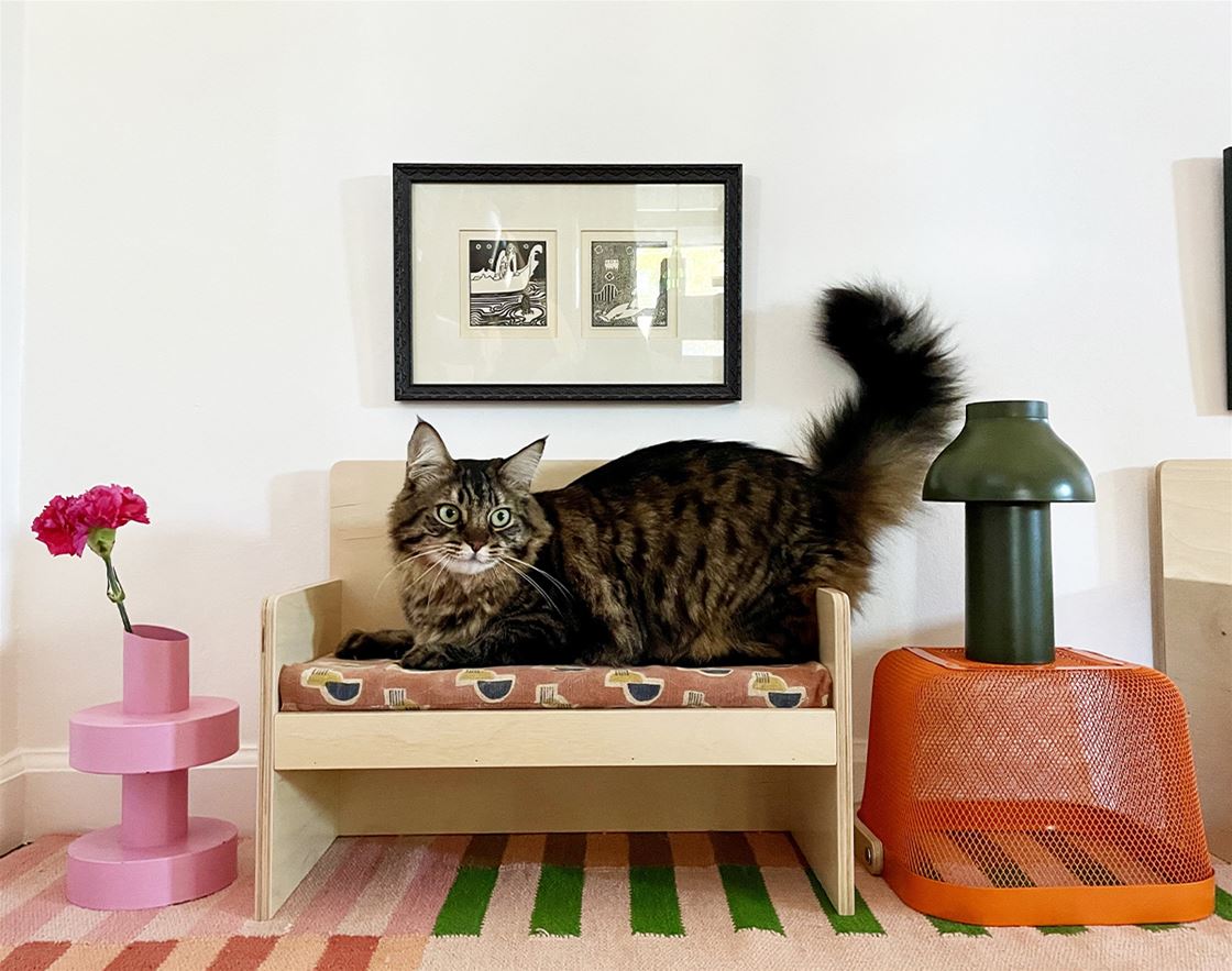 a throne for your kitty a throne for your kitty