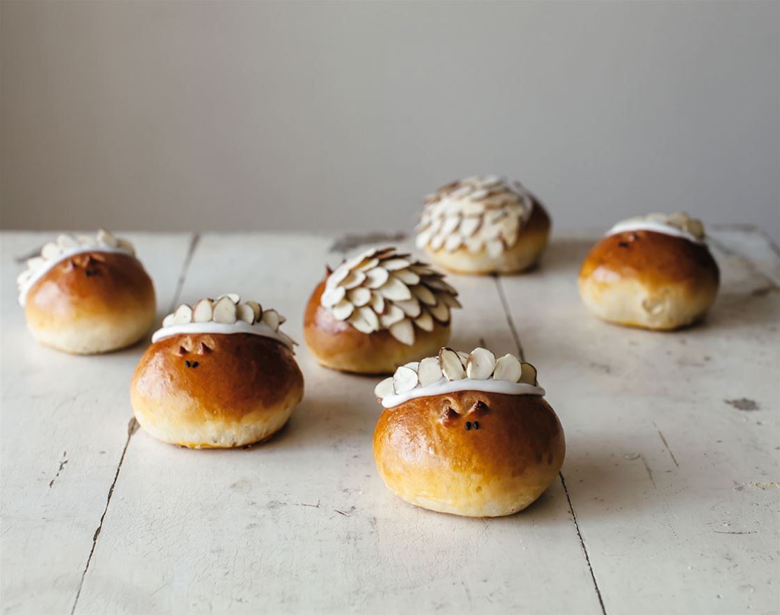 challah hedgehogs challah hedgehogs
