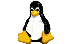 Linux 5.0 debuts &#8211; which means nothing