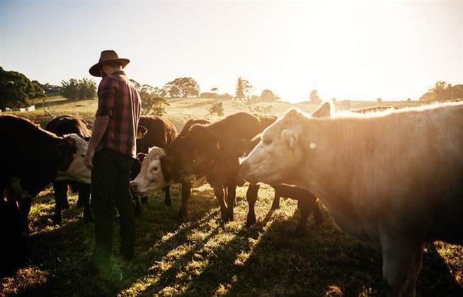 JBS Foods pays $14m to ransomware attackers