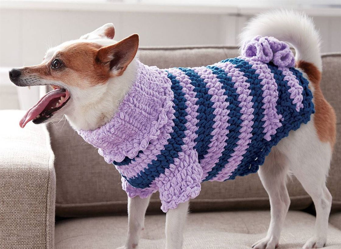 these crochet dog jumper patterns are just too cute these crochet dog jumper patterns are just too cute