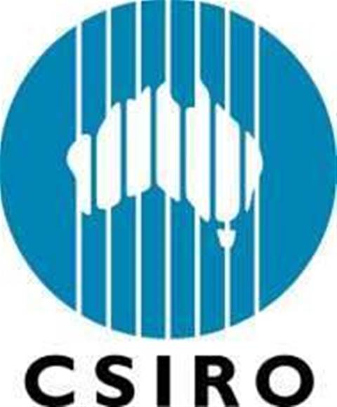 Csiro Rise Program Logo CSIRO seeks AI and digital tech SMEs for R&D program - techpartner.news