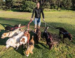 Dr Chris On The Power Of Your Pup