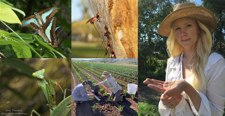 Meet An Entomologist Meet An Entomologist