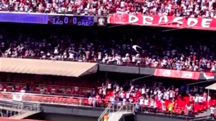 Brazilian fan survives fall from top tier of stadium