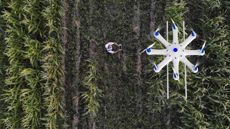 US farmers, grain traders on data hunt after floods