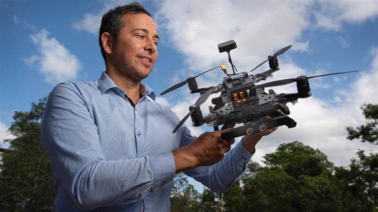 How Microsoft's AI grant will help QUT monitor coral reef health