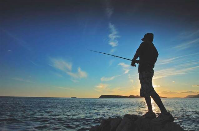 Fisheries Qld blames bad update for password 'fault'