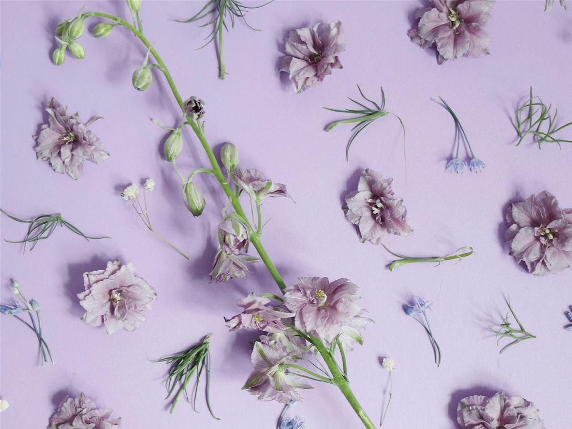 five super-tasty floral recipes to try out five super-tasty floral recipes to try out