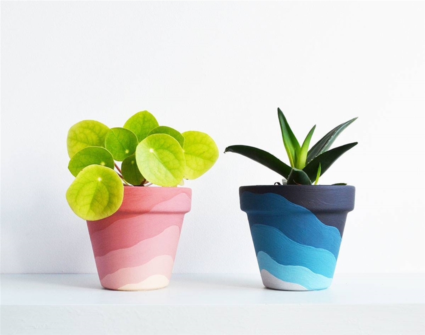 frankie exclusive diy: gradient planter pots