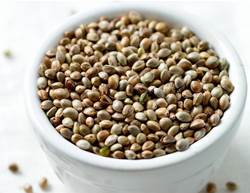 Should You Be Eating Hemp Foods?