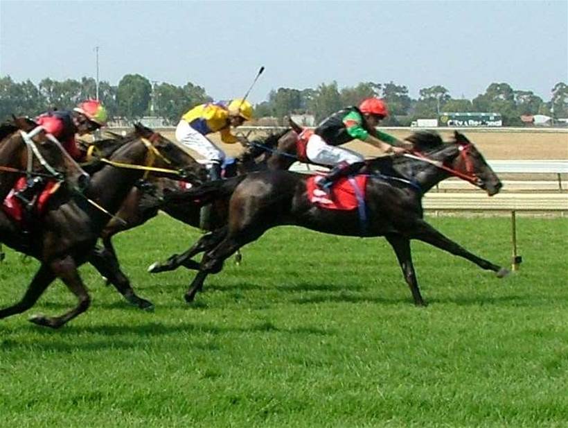 Fitbit for horses: tracker used by trainers of Melbourne Cup Carnival winners