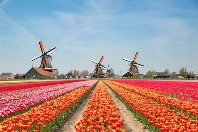 Dutch telecommunications towers damaged by 5G protestors - Telegraaf