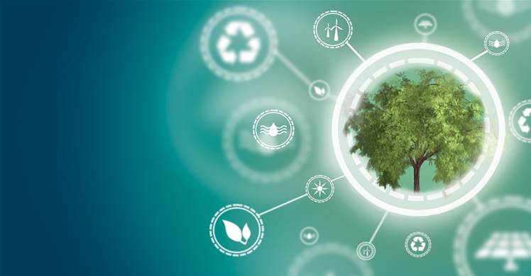 Ripe Robotics and Designerex pitch at the Climate Tech Showcase