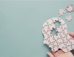 How Memories Are Made and Why They Fade