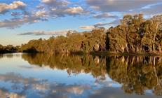 Murray-Darling Basin Authority hunts for new CIO