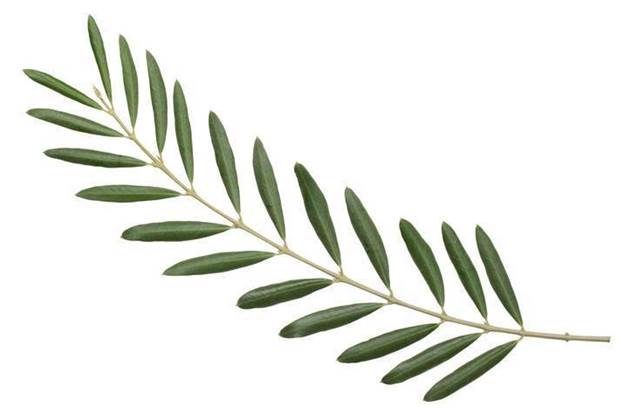 Huawei in early talks with US firms to licence 5G platform - Huawei executive