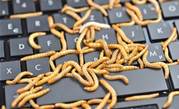 Database destroying worm menaces Linux and Windows servers