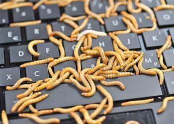 Database destroying worm menaces Linux and Windows servers