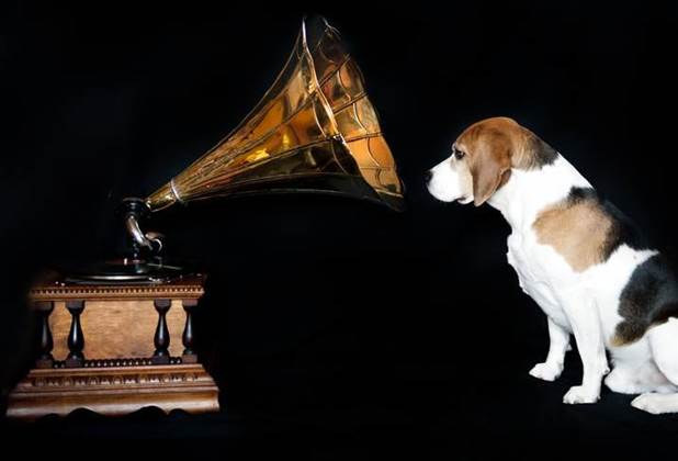 Spotify launches playlists for dogs left home alone