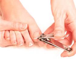 How to prepare for your training