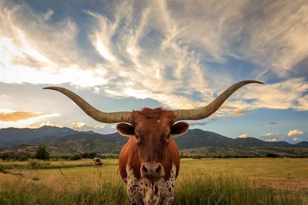 Apple plans new US$1bn campus for Austin, Texas