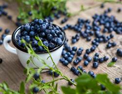 Can a Cup of Blueberries a Day Really Help Your Blood Sugar?